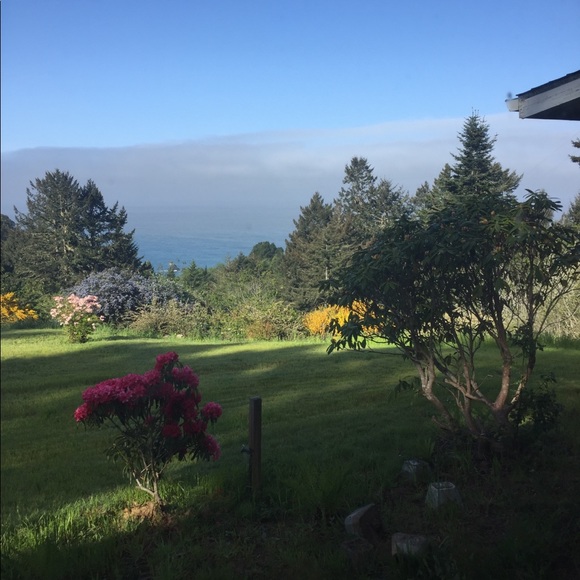 Meet your Posher, Asphodel - Picture 2 of 6